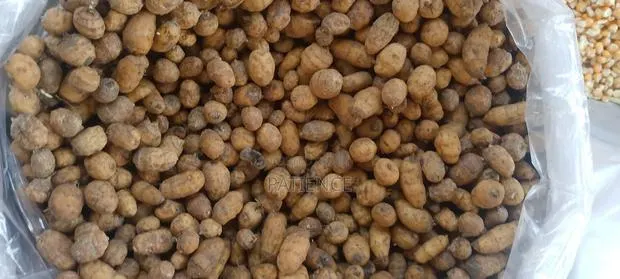 Fresh Tiger Nut · Photo 1