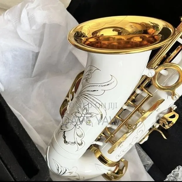 Alto Saxophone · Photo 1