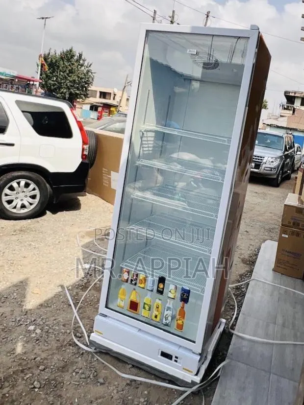 Quiet and Reliable Zara-600dfg Single Door Beverage Cooler(591l) · Photo 1