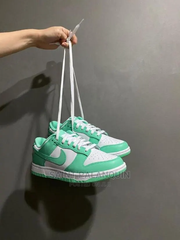 Nikesb Dunk · Photo 1