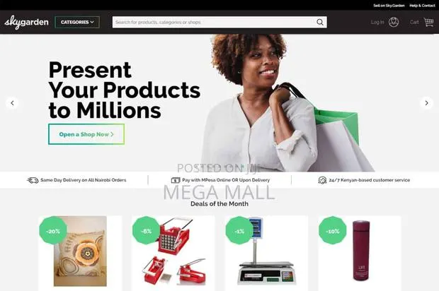 Professional E-commerce Store Web Design Service · Photo 1