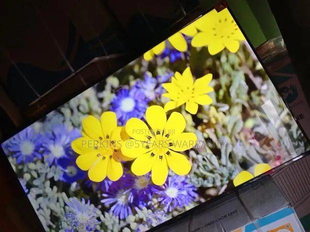 Voice Control With Alexa or Google Assistant With TCL 55 Qled Tv · Photo 1