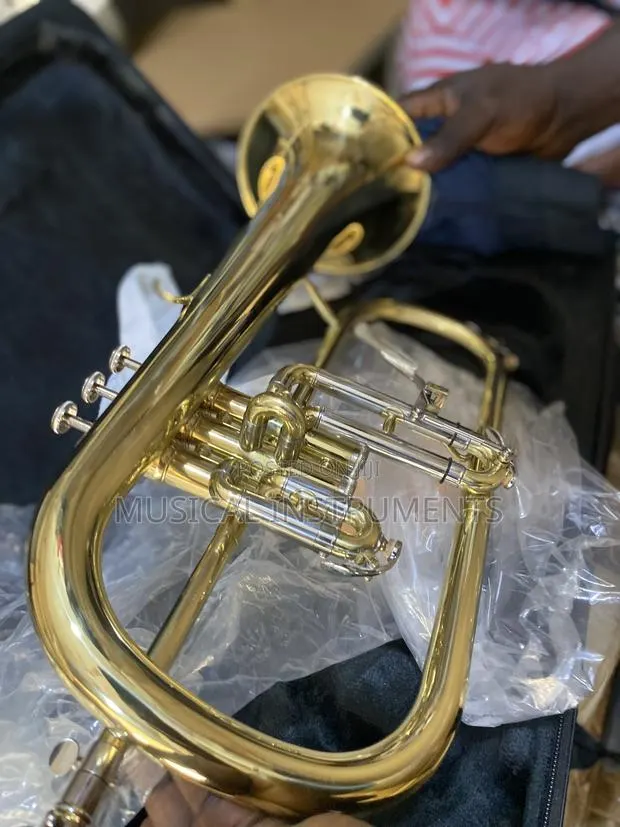 Flugelhorn (Female) · Photo 1