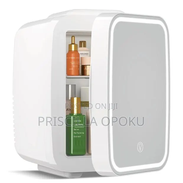 Portable Skincare Fridge · Photo 1