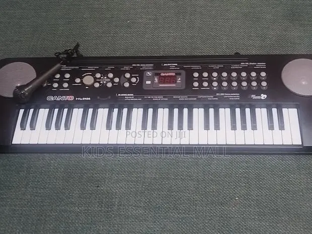 54 Keys Electronic Keyboard or Piano for Learning · Photo 1