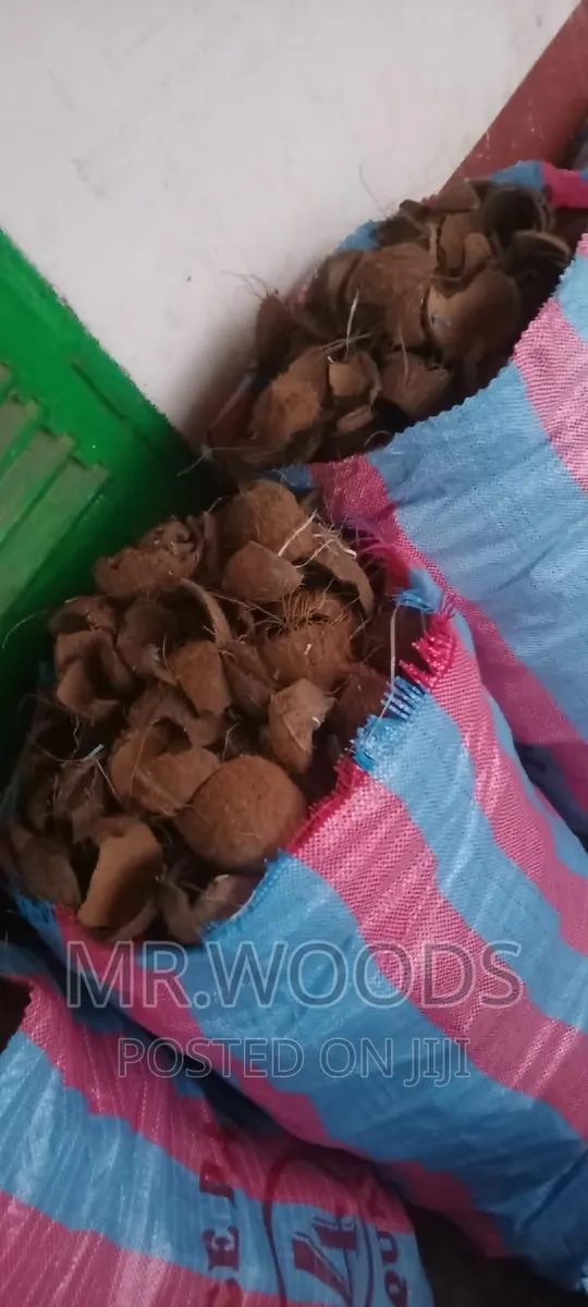 Dry Coconut Shells · Photo 1