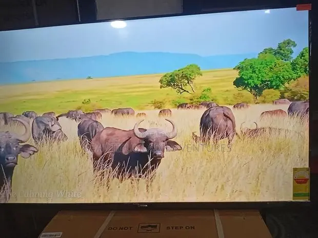 Sigma 55-Inch Uhd Tv – Clear, Bright Bold · Photo 1