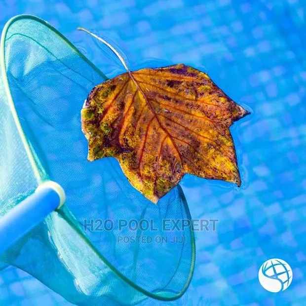 Pool Cleaning · Photo 1