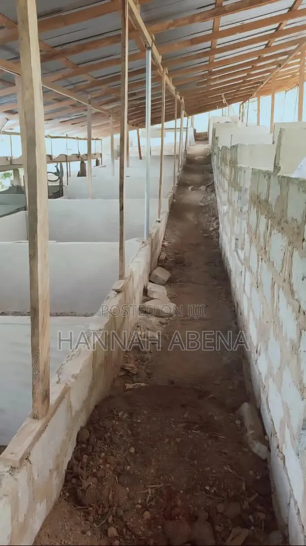 Farm Land for Pigs · Photo 1
