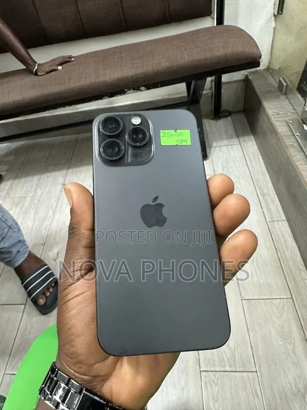 Apple iPhone 15 Pro Max 256 GB Gray · Photo 1