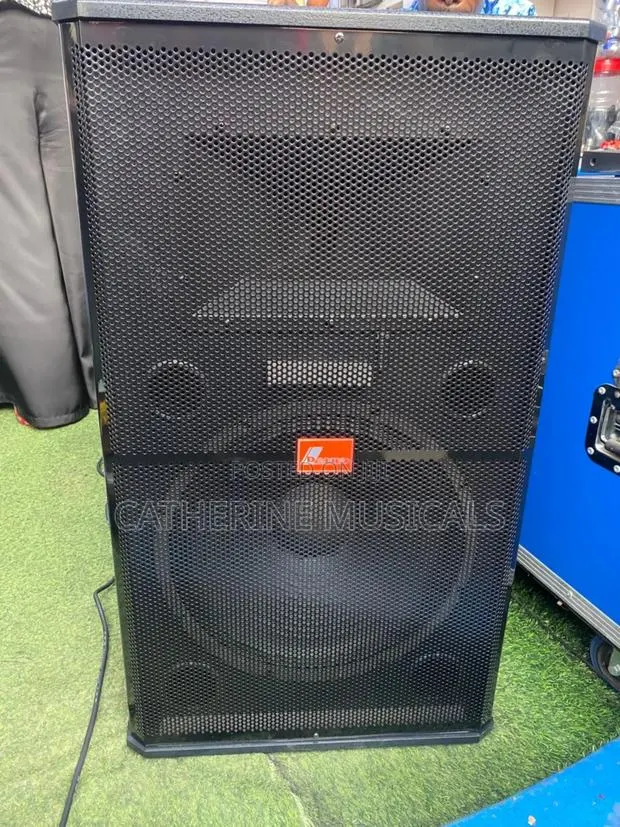 Powered Speaker With 2 Microphone · Photo 1