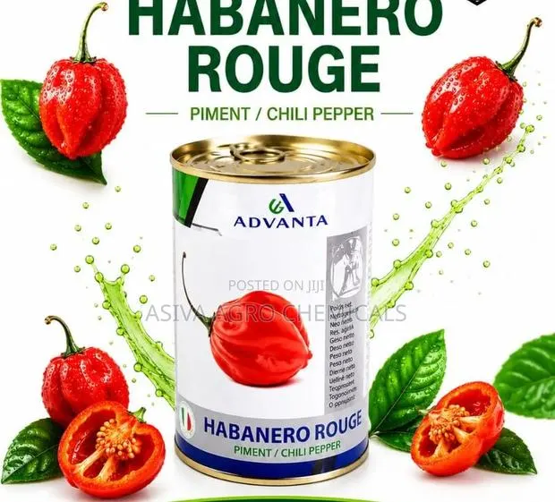 Red Habanero (Hot) Pepper Seeds 50grams