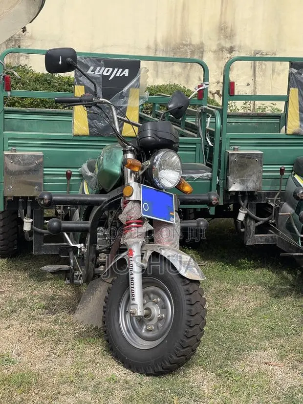 Luojia Motorized Tricycle 2026 Green · Photo 1