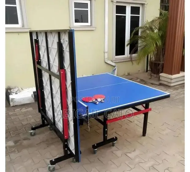 Table Tennis Board · Photo 1