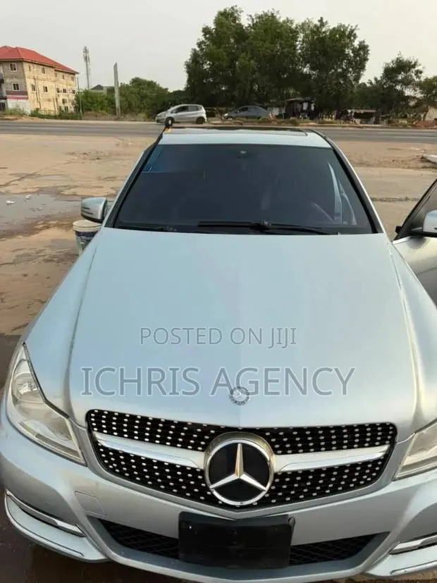 Mercedes-Benz C250 2013 Gray · Photo 1