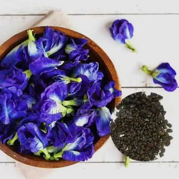 Blue Butterfly Pea Seeds for Sale · Photo 2