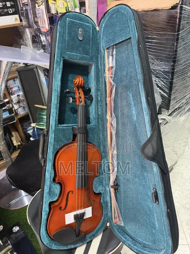 Maple Wood Violin 4/4 · Photo 1