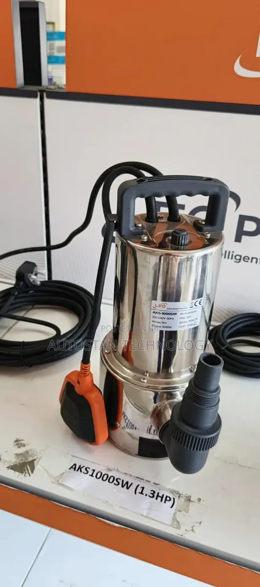 1.3hp Leo Aks-1000sw Submersible Stainless Steel Pump · Photo 1