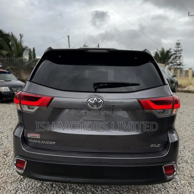 Toyota Highlander XLE 2019 Brown · Photo 1