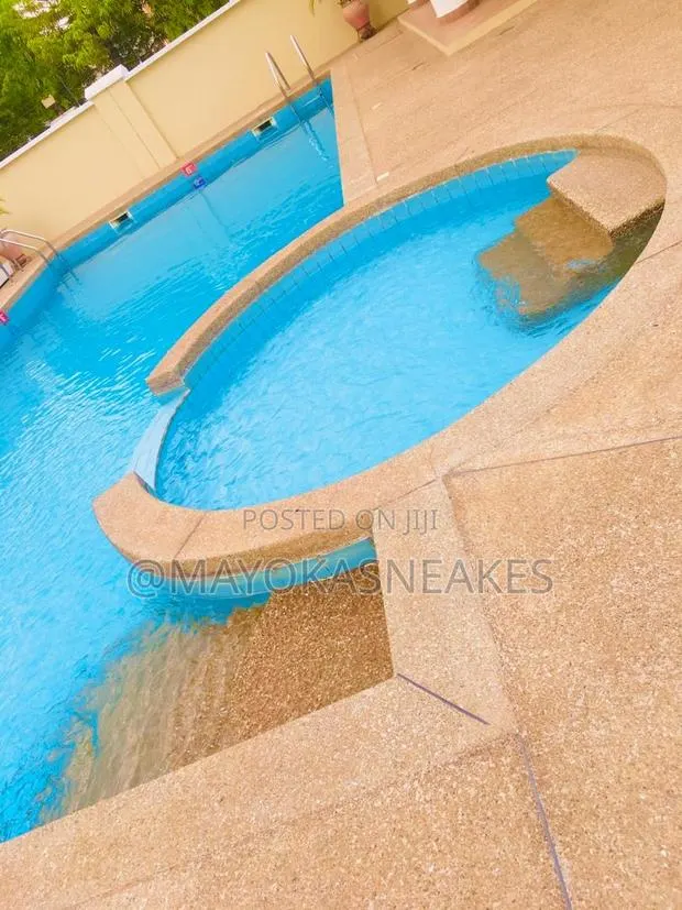 Swimming Pool Cleaning and Attendant · Photo 1