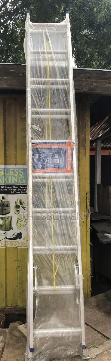 Aluminum 2x10 Extension Ladder · Photo 1