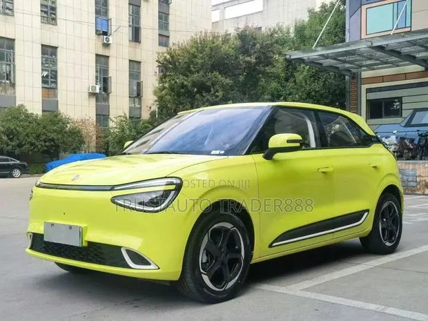 Dongfeng Nammi 01 42.3 kWh 430 Max 2024 Yellow · Photo 1