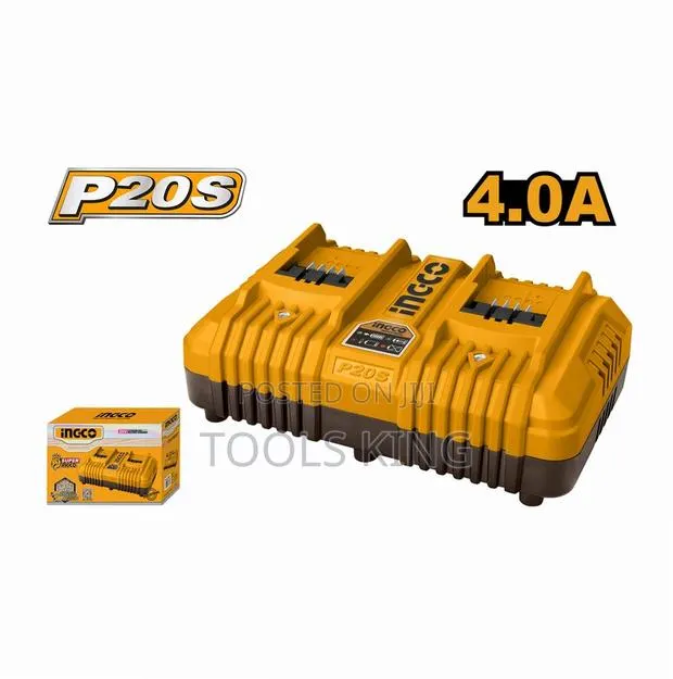 P20s Battery Charger - Fcli2034 · Photo 1