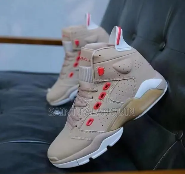 Air Jordan Sneaks · Photo 1