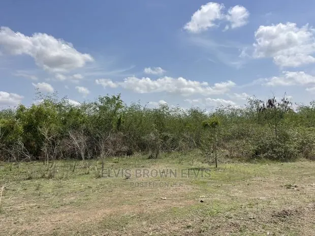 Available Verging Lands for Sale at West Trasacco · Photo 1