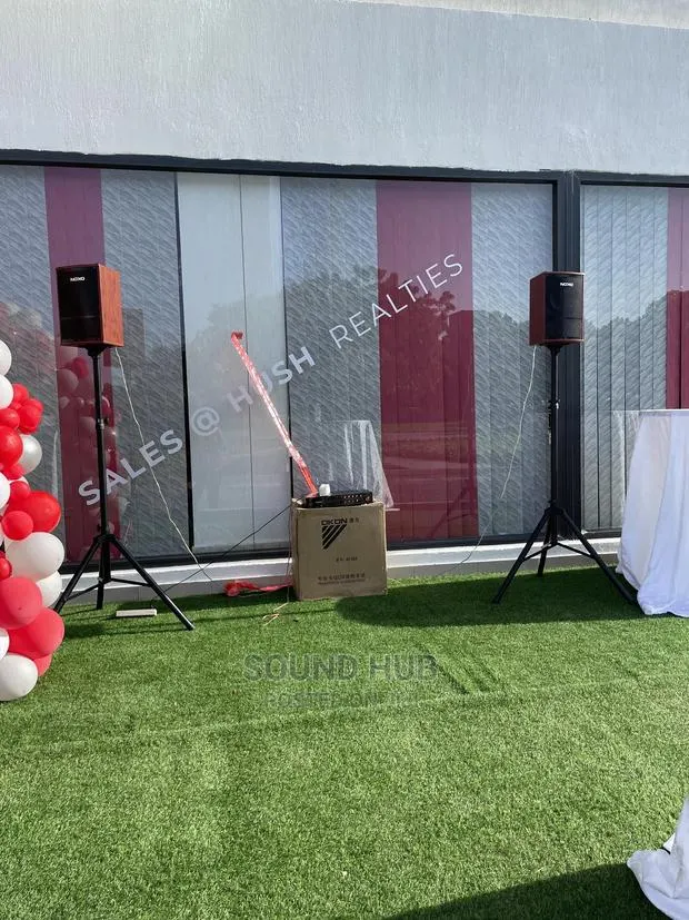Professional Audio System With Microphones for Rent