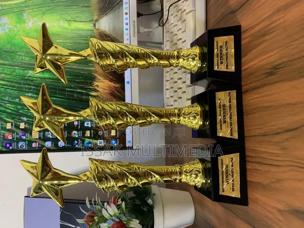 Gold Award Plaque · Photo 1