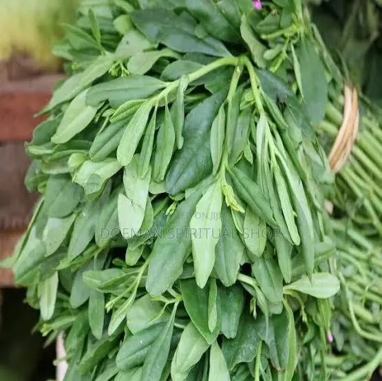 Water Leaves · Photo 1