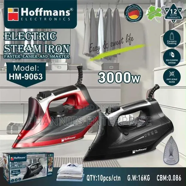 Electric Steam Iron · Photo 1