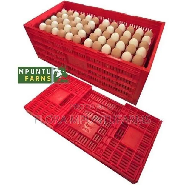 Egg Transport Cages · Photo 1