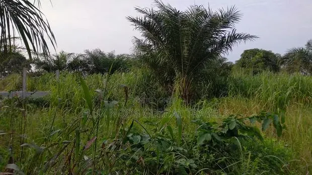 Registered Acres of Land for Sale. · Photo 1