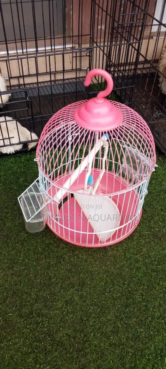 Small Metallic Bird Cage · Photo 1