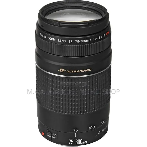 Canon Ef 75-300mm F/4-5.6 Iii Telephoto Zoom Lens for Canon SLR · Photo 1