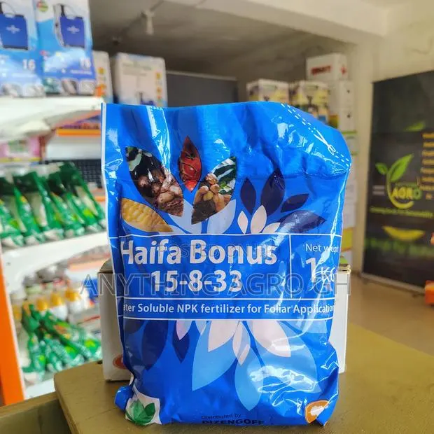 Haifa Bonus · Photo 1