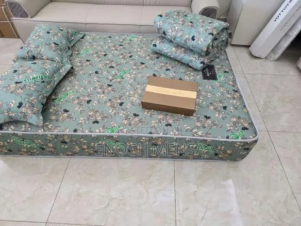 Double 10 Inches Mattress With Pillow · Photo 1