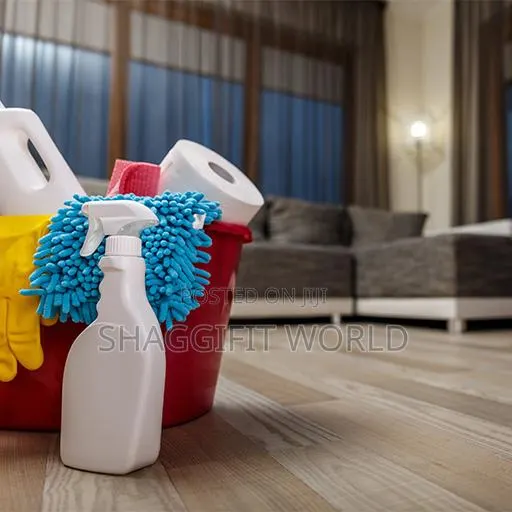 Male Cleaner · Photo 1