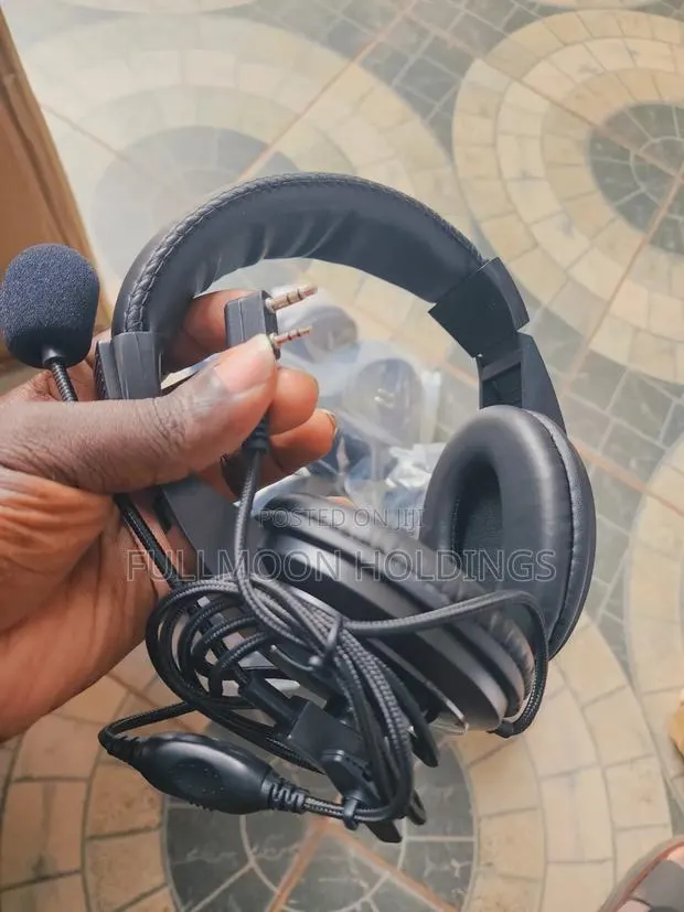 Professional Walkie Talkie Headset · Photo 1