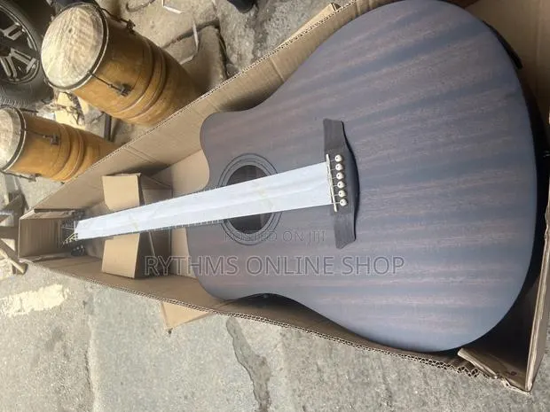 Strinberg Semi-Acoustic Guitar · Photo 1