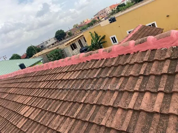 Roof Leakage Solutions · Photo 1