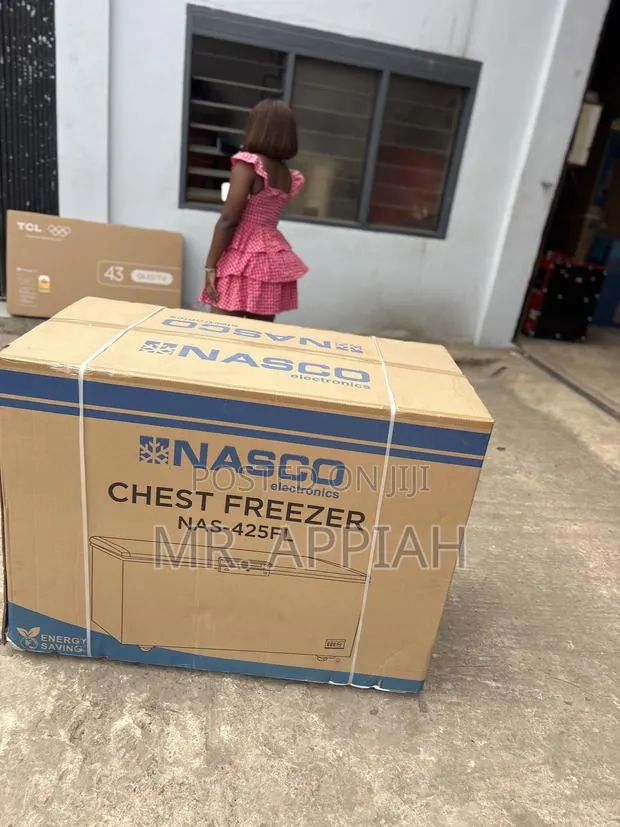 Get Nasco 425FL 316L Single Door Chest Freezer(Gray) · Photo 1