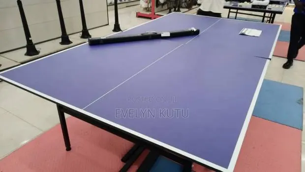 Table Tennis Board · Photo 1