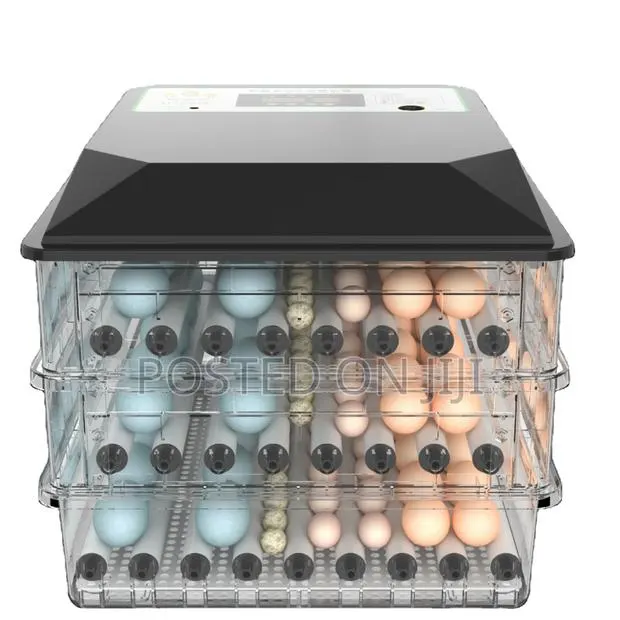 256 Egg Incubator · Photo 1