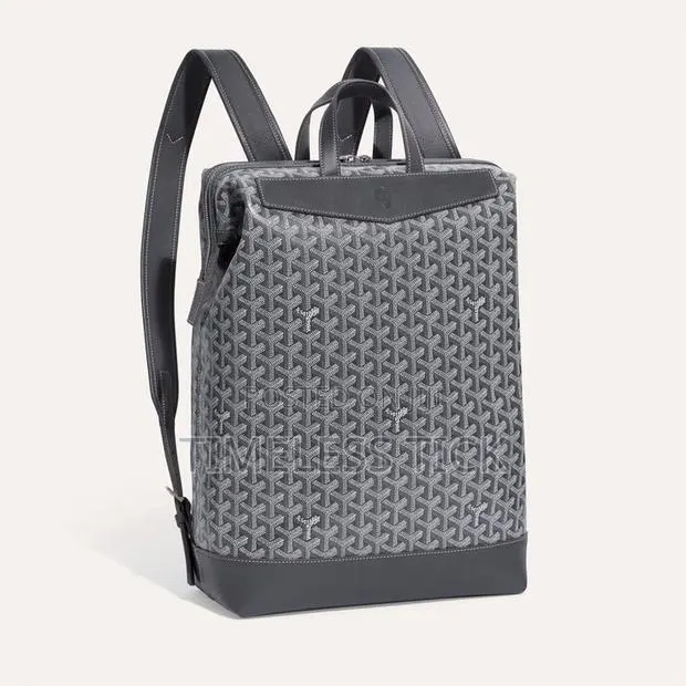 Goyard Bag · Photo 1