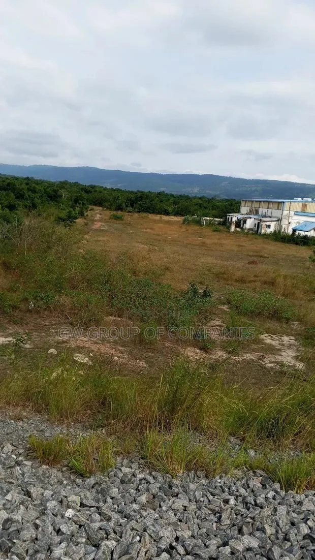 Buy Your Dodowa Land Now Before the Prices Go Up · Photo 1