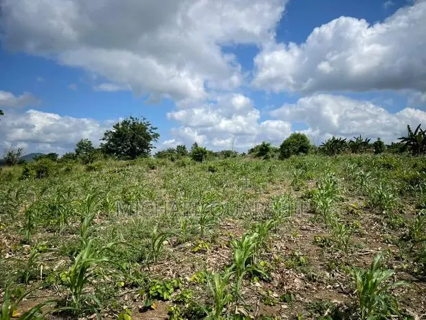 Land for Sale at Asuboi Off the Suhum Road Per Plot · Photo 1