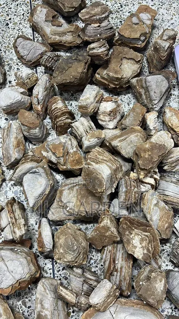 Melaleuca Stone (Aquarium Stone) · Photo 1
